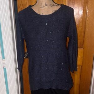 Ana M sparkly Navy Blue Knit Sweater